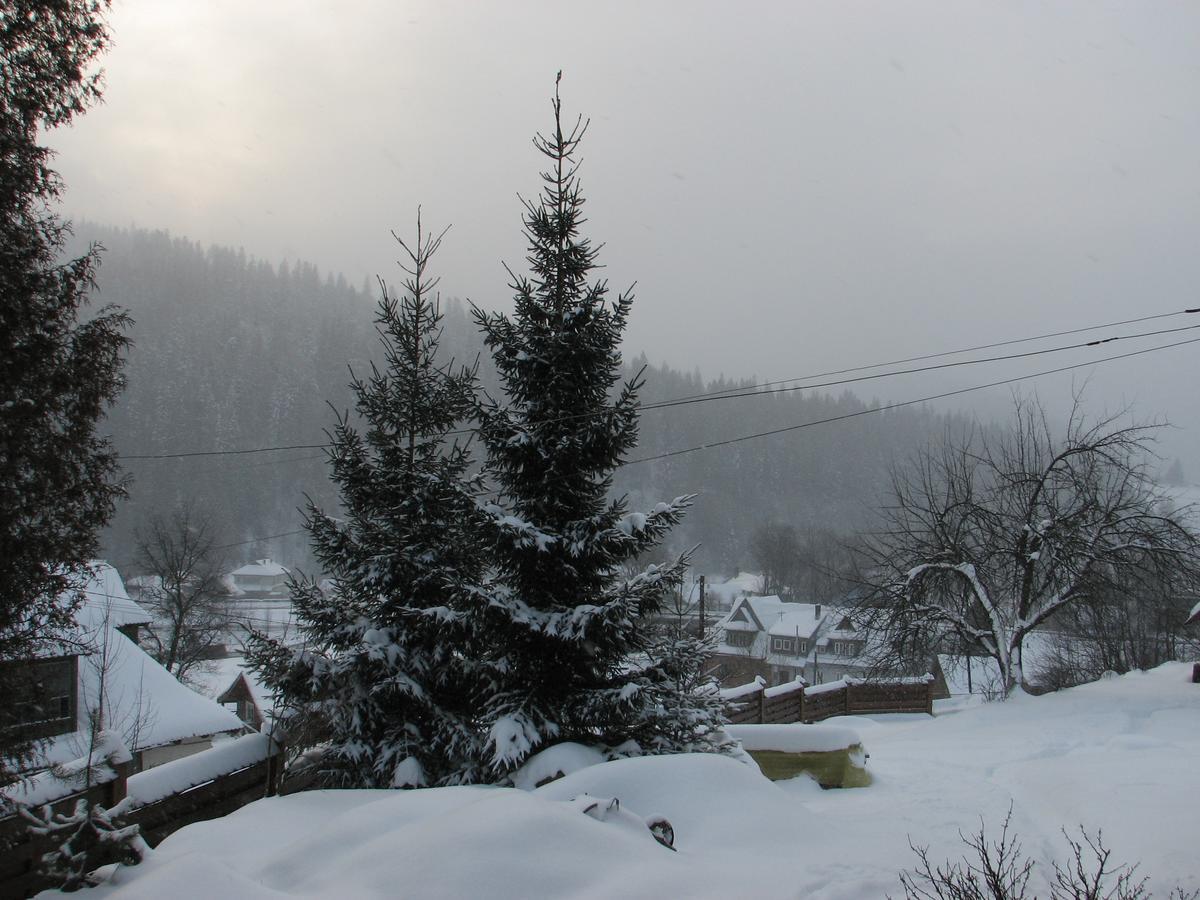 Sadyba Chertizh